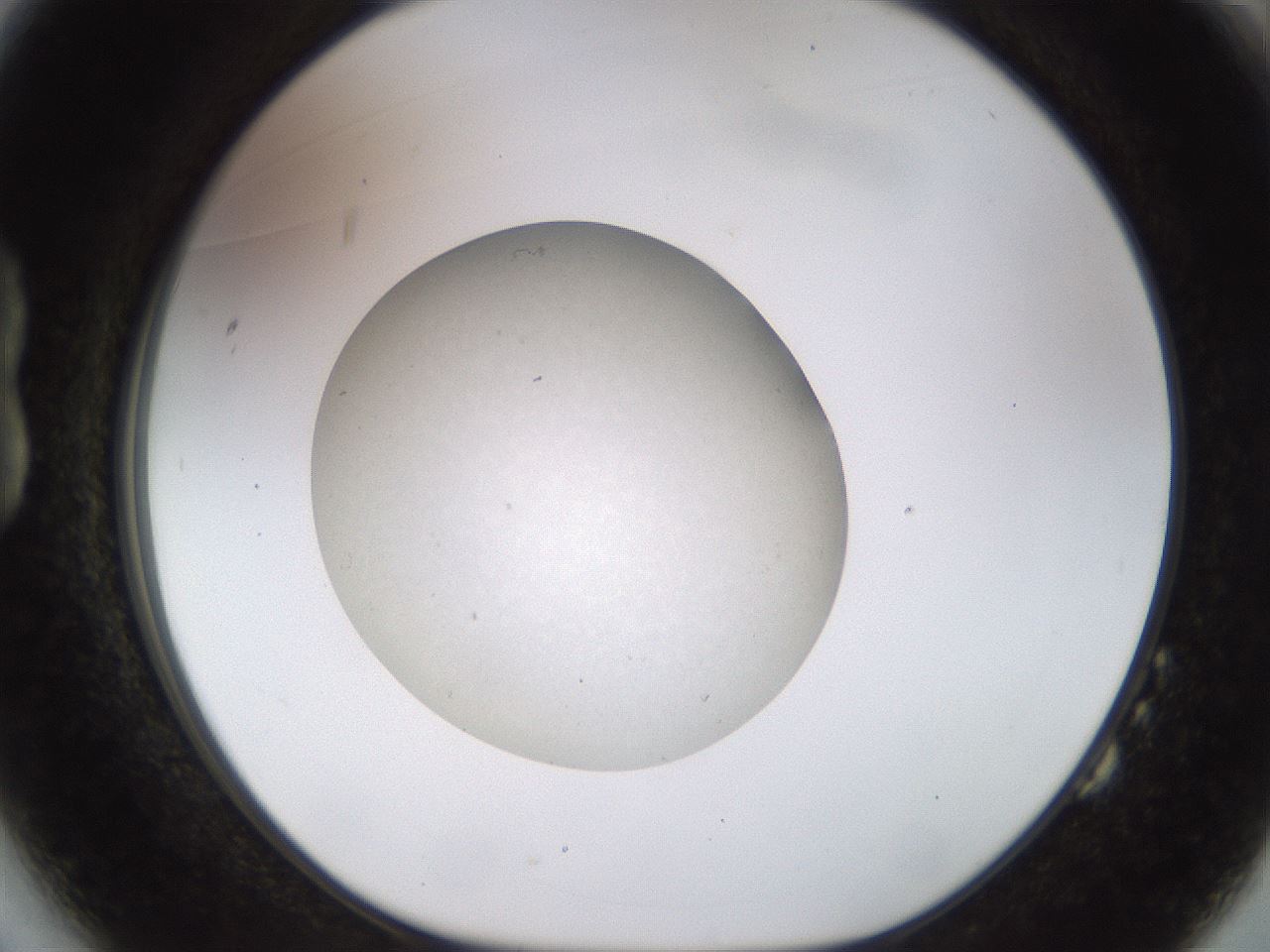 folderID491_plateID1491_batchID6062_wellNum14_profileID1_d1_r94629_ef.jpg