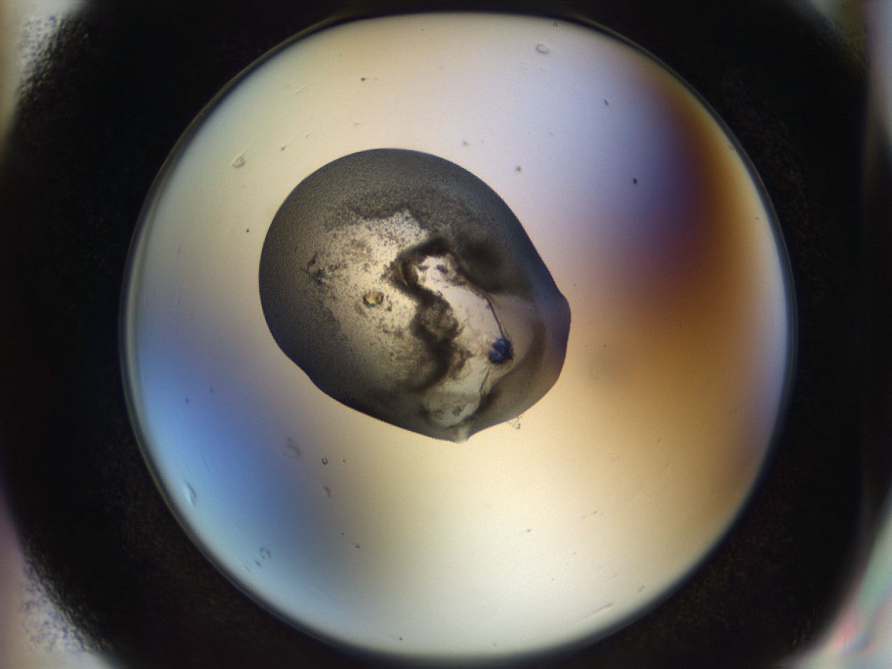 04ig_F7_ImagerDefaults_6.jpg