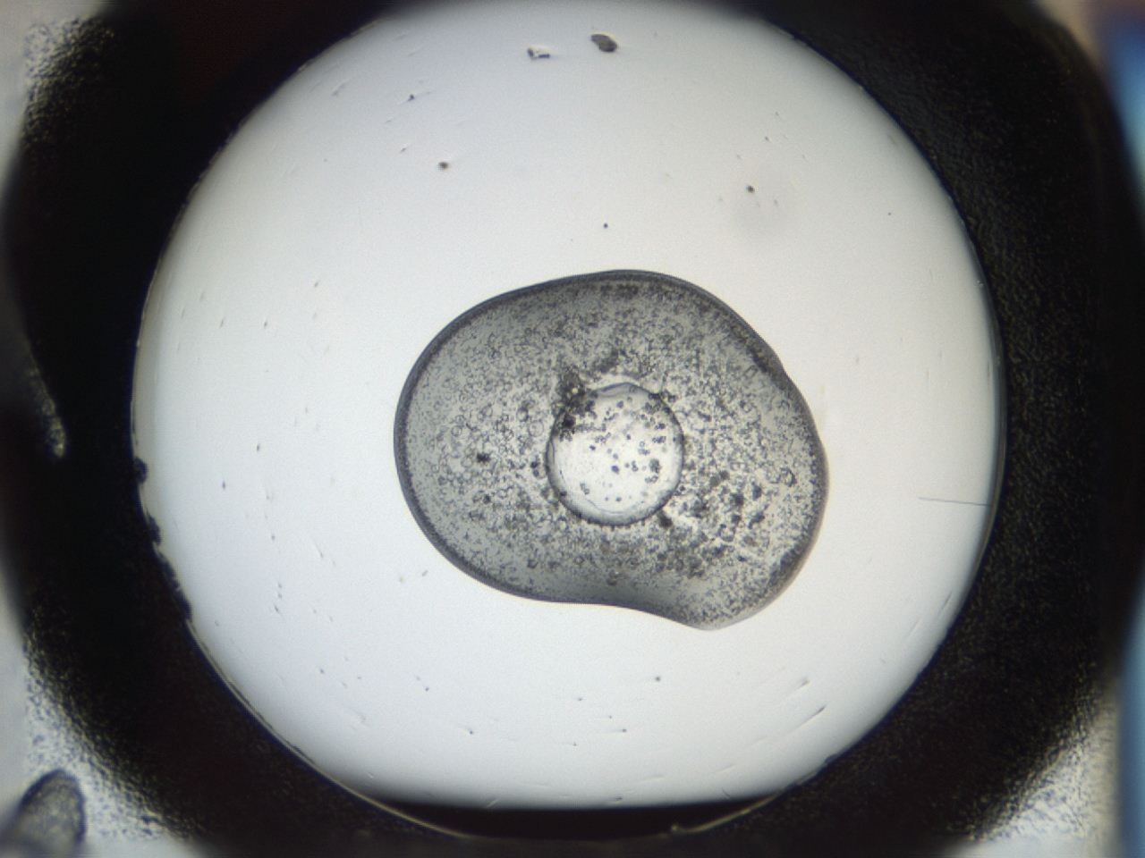04ii_A11_ImagerDefaults_6.jpg