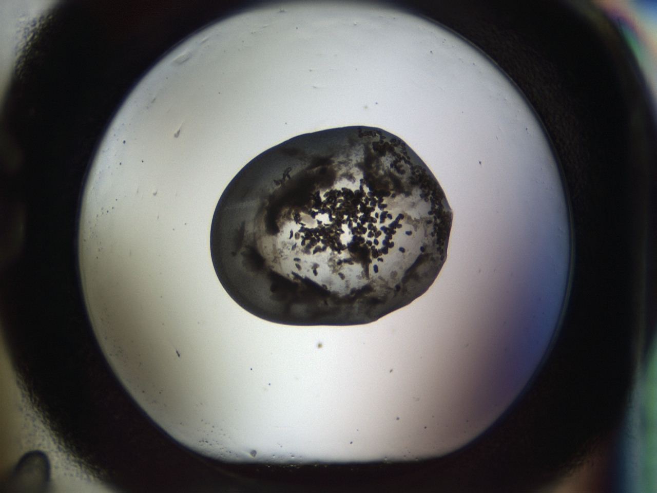 04ik_G11_ImagerDefaults_6.jpg