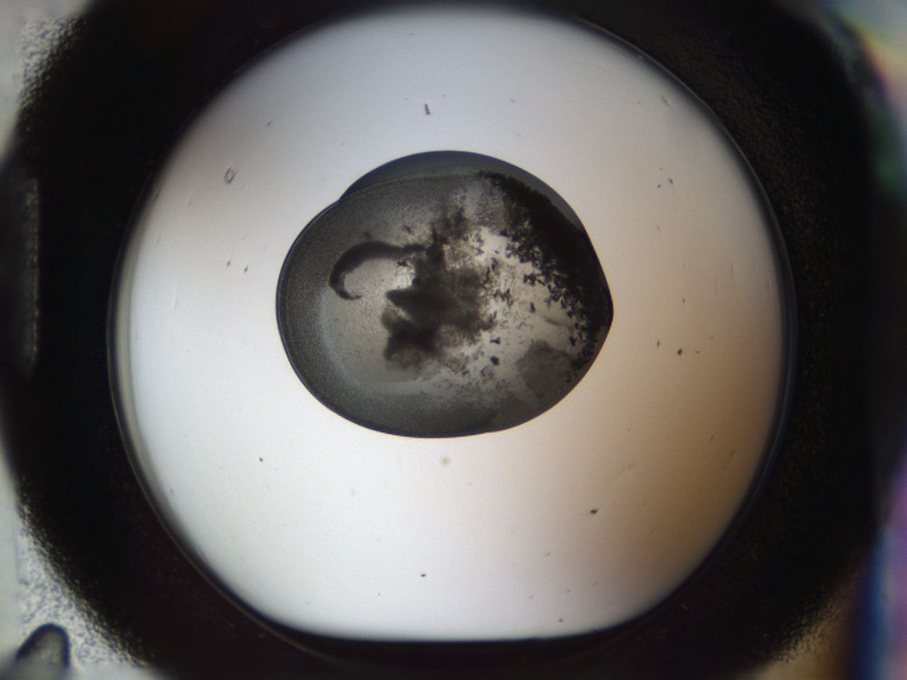 04ik_H11_ImagerDefaults_6.jpg