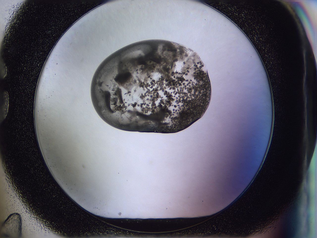 04il_G11_ImagerDefaults_6.jpg
