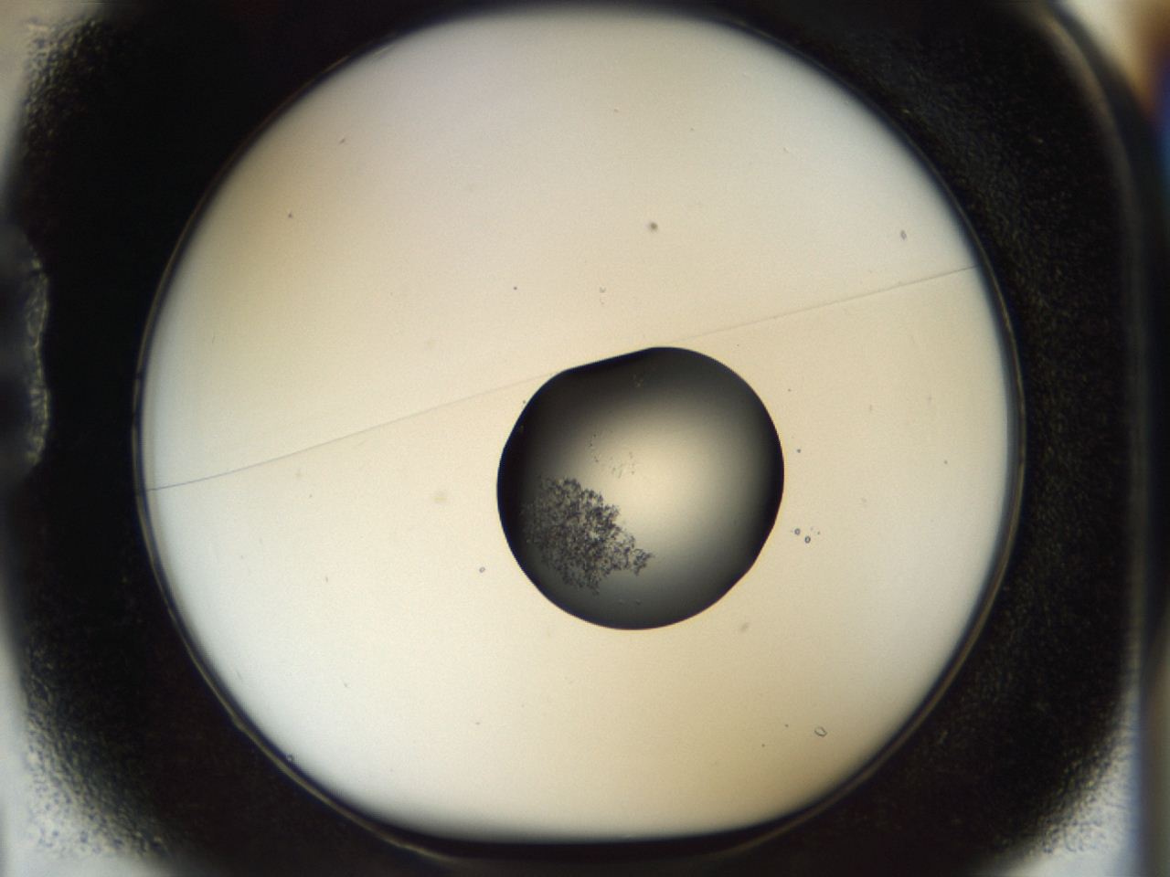 04im_B1_ImagerDefaults_6.jpg