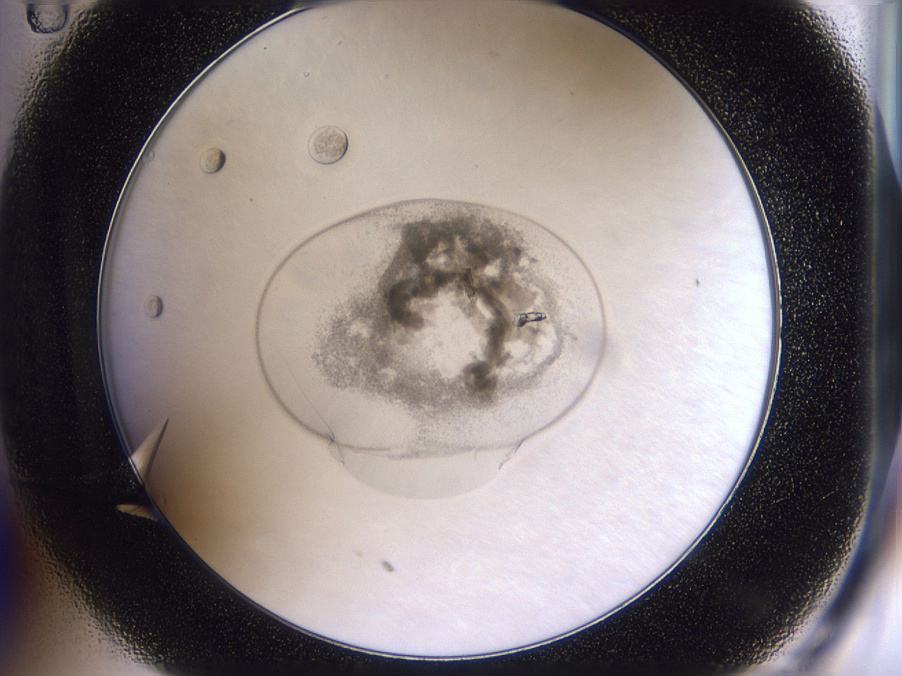 04in_C11_ImagerDefaults_9.jpg
