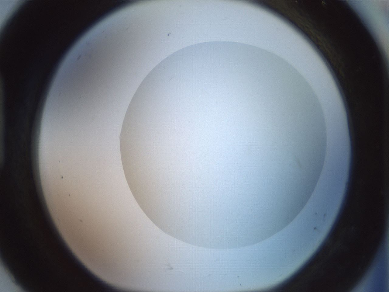 folderID500_plateID3500_batchID21010_wellNum92_profileID1_d1_r313340_ef.jpg