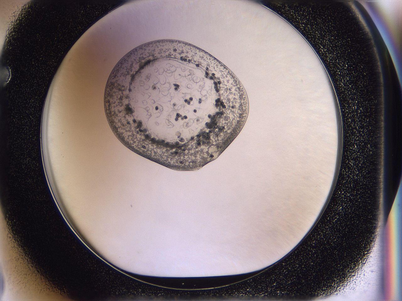 04in_F3_ImagerDefaults_6.jpg