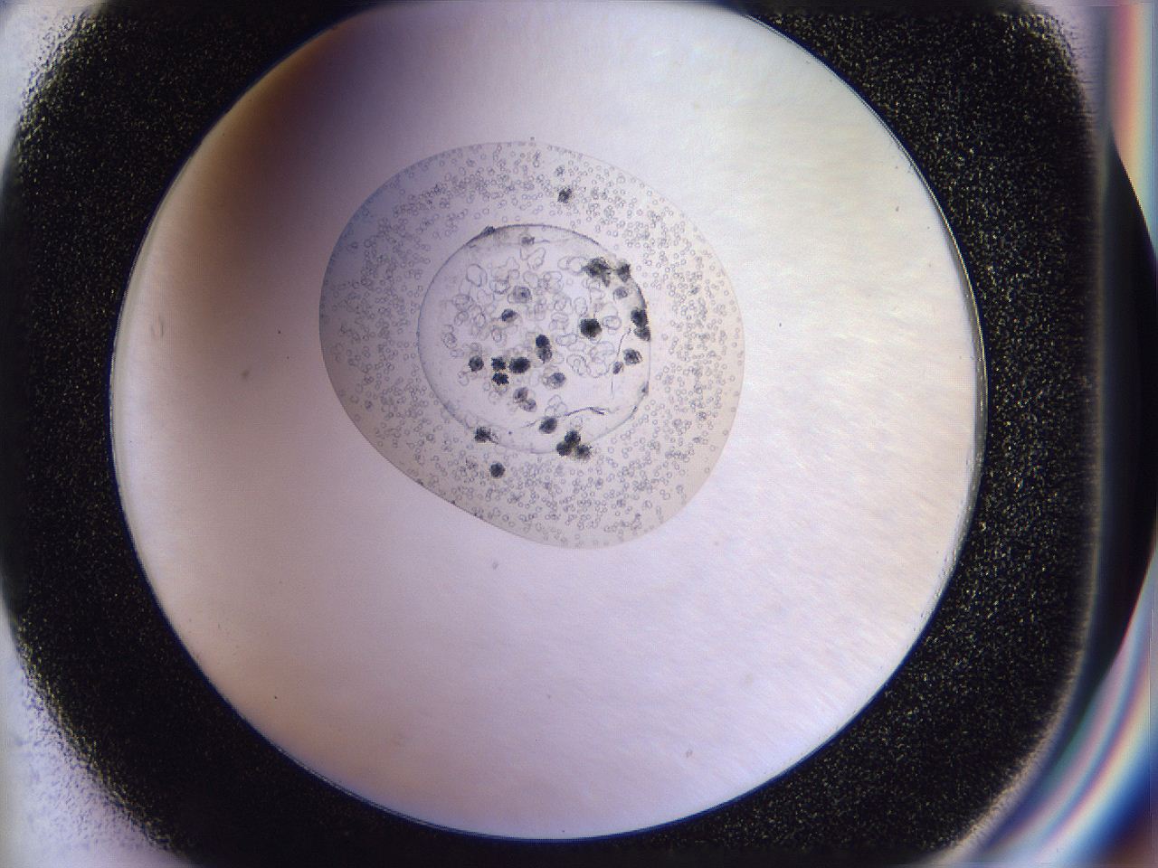04in_F3_ImagerDefaults_9.jpg