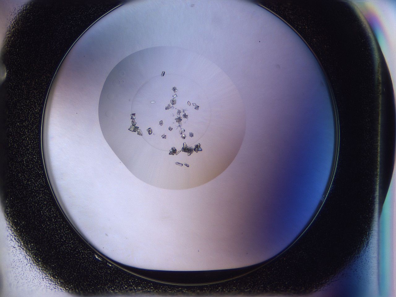 04in_F8_ImagerDefaults_8.jpg
