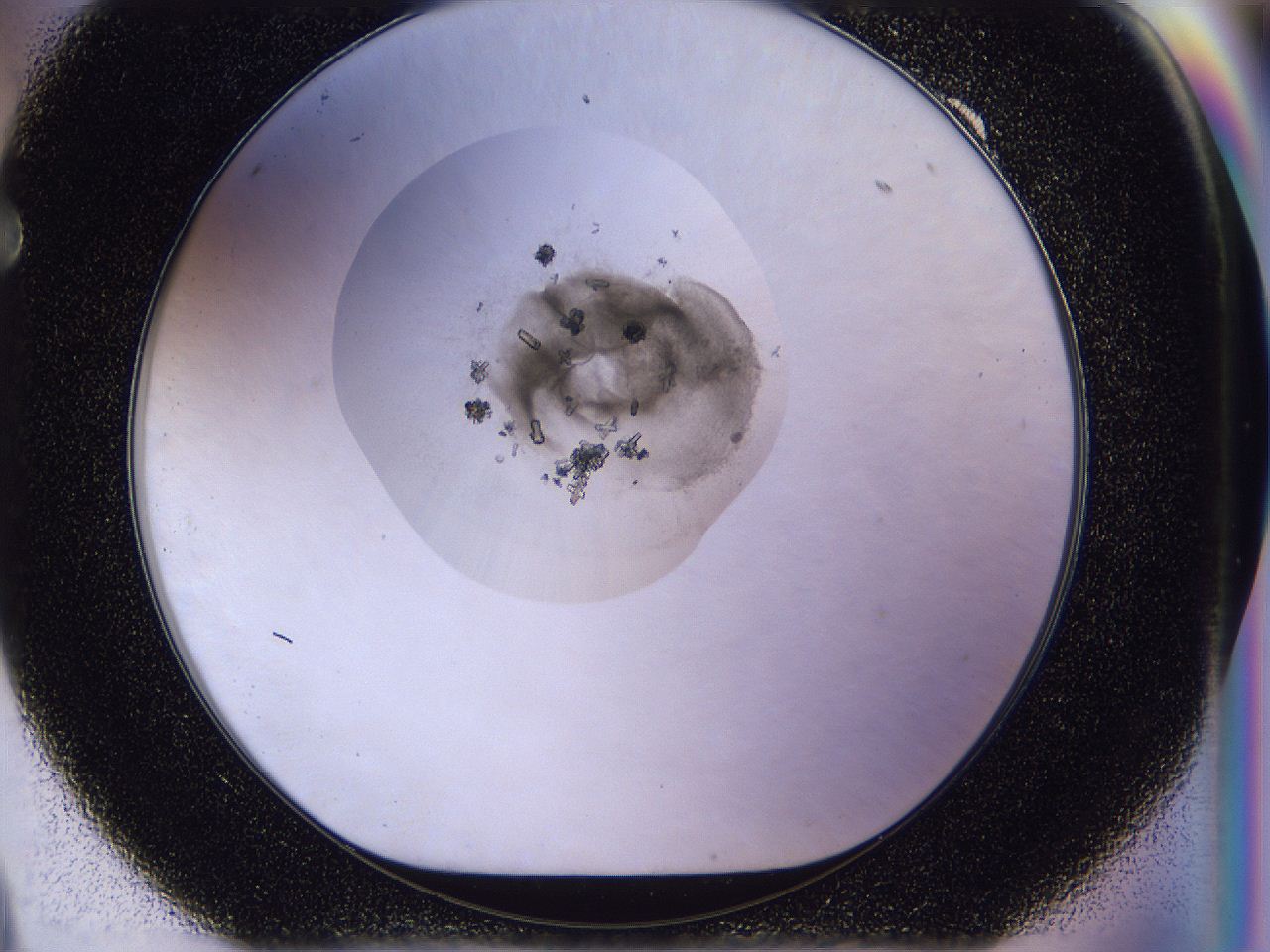 04in_F9_ImagerDefaults_0.jpg