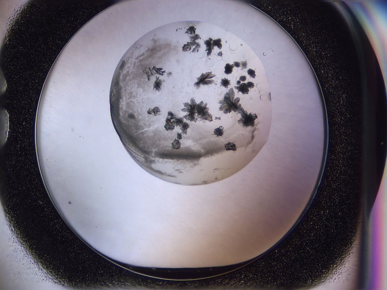 04in_G1_ImagerDefaults_6.jpg