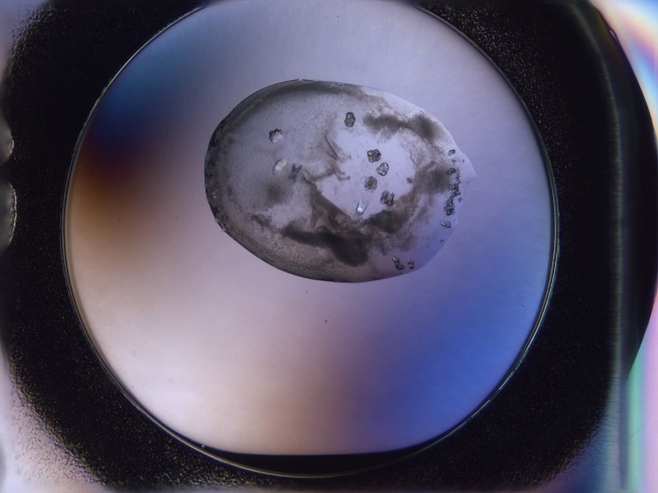 04in_G2_ImagerDefaults_9.jpg