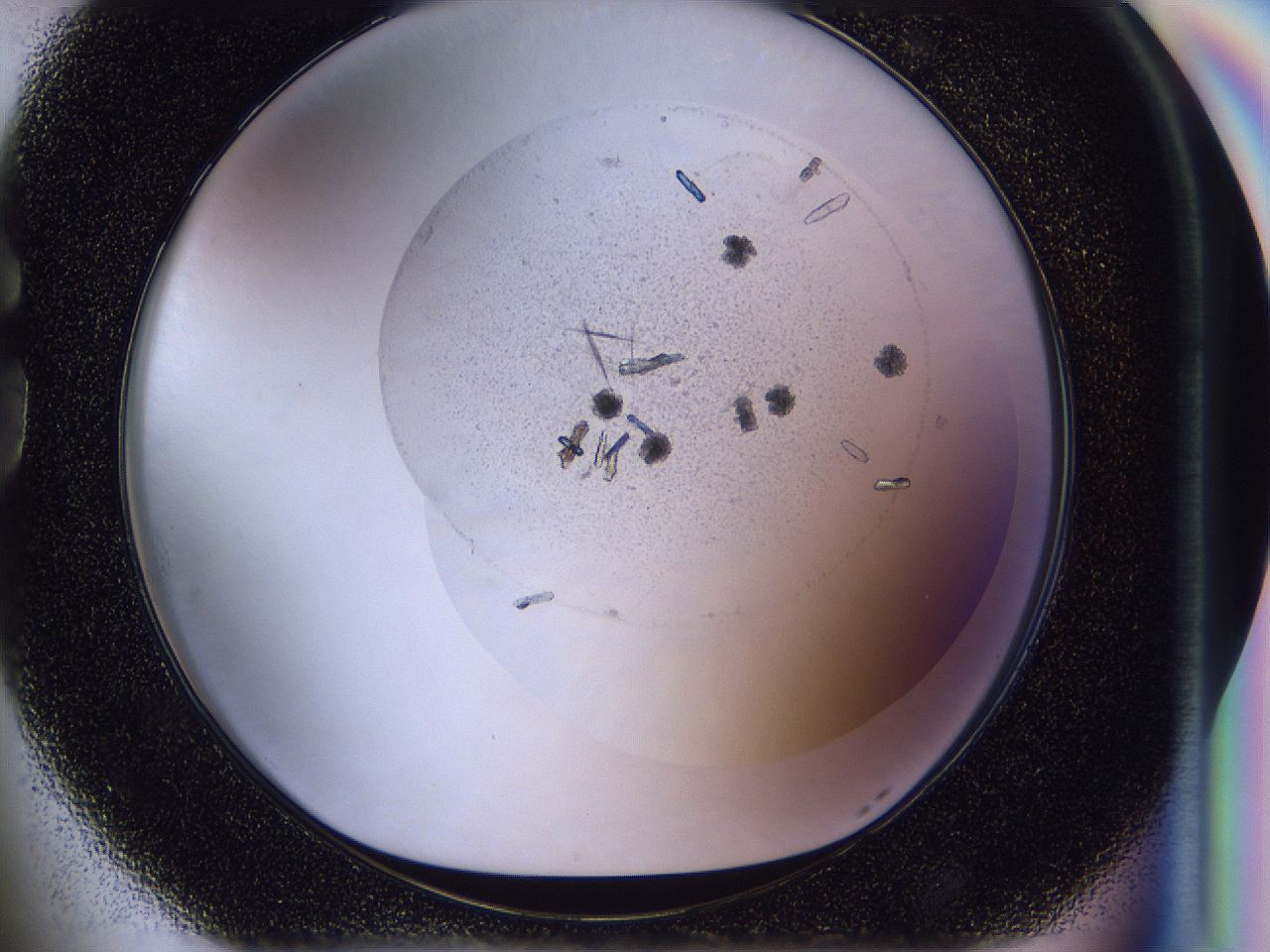 04in_G5_ImagerDefaults_9.jpg