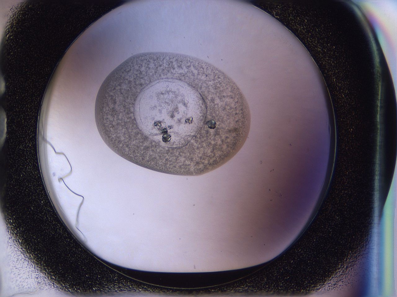 04in_G8_ImagerDefaults_6.jpg