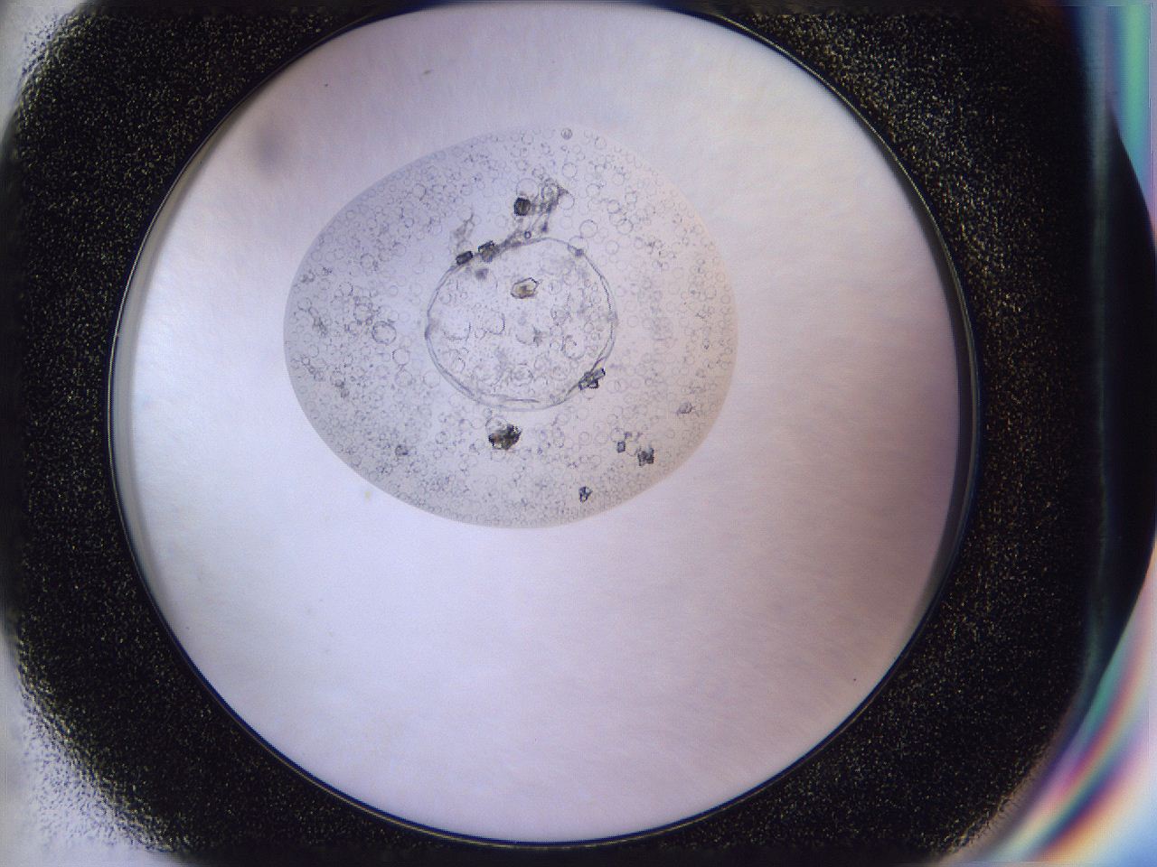 04in_G8_ImagerDefaults_9.jpg