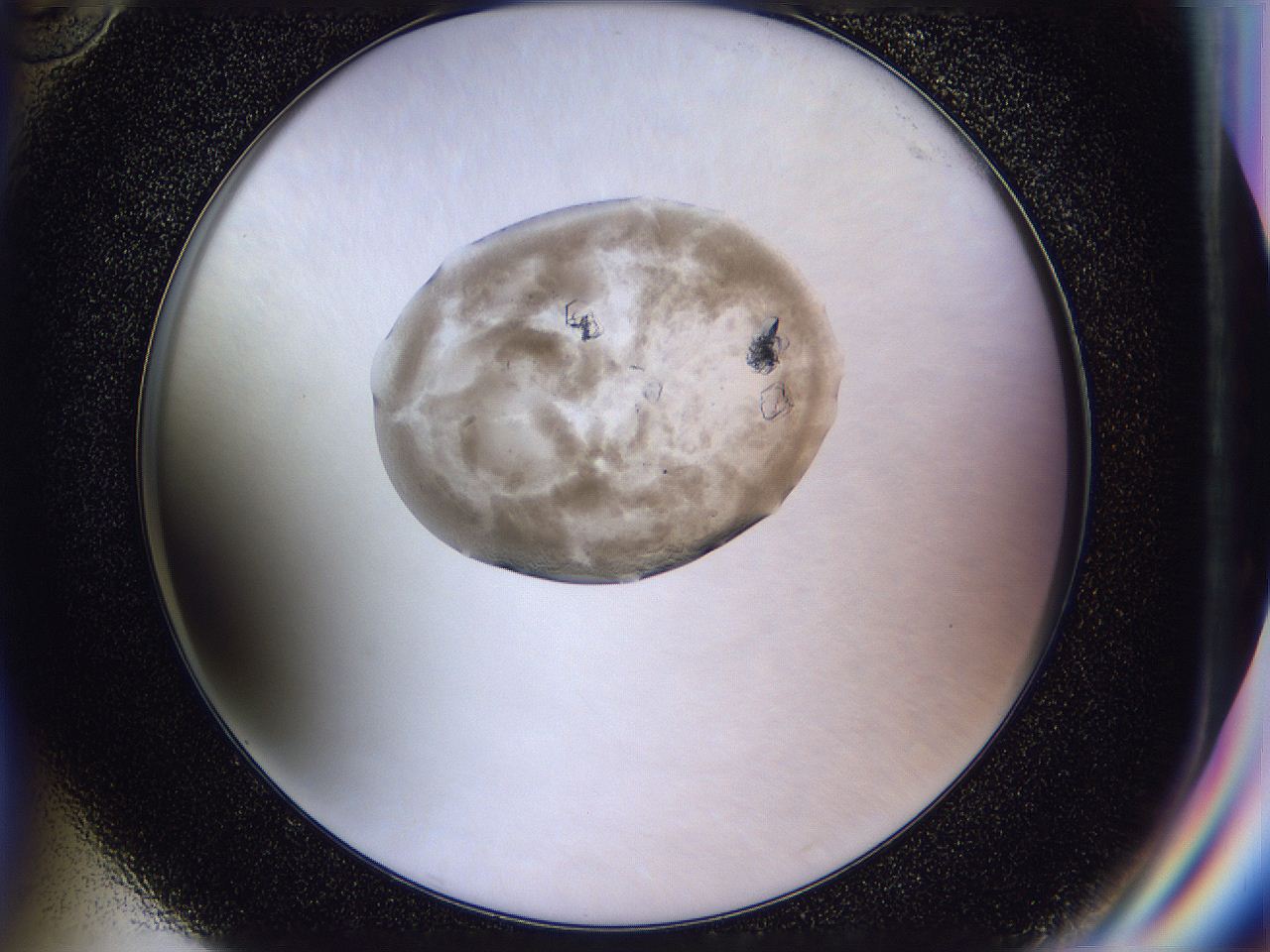 04in_G10_ImagerDefaults_9.jpg
