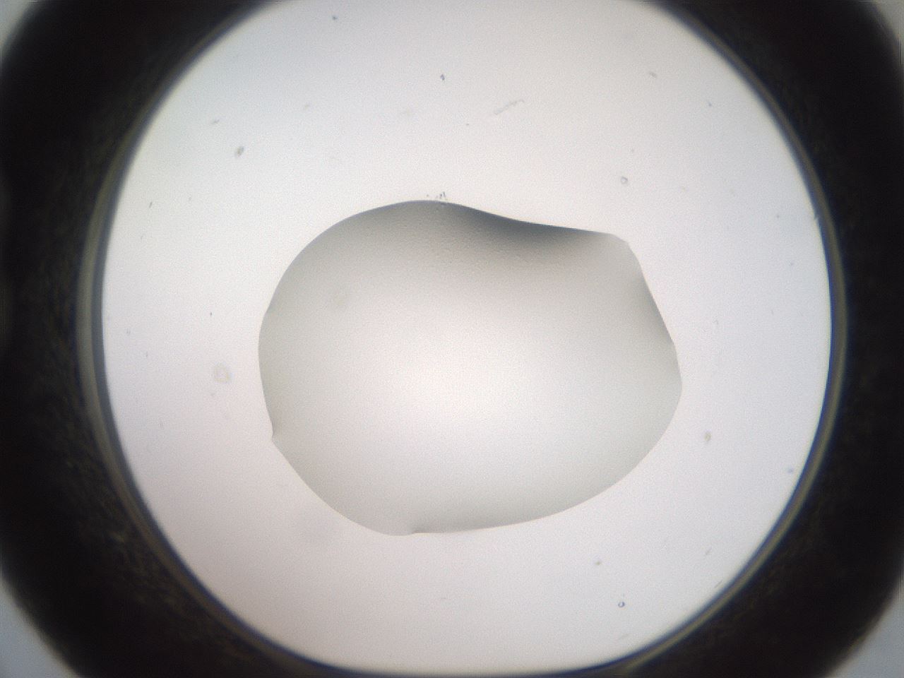 folderID505_plateID3505_batchID20714_wellNum21_profileID1_d1_r311659_ef.jpg