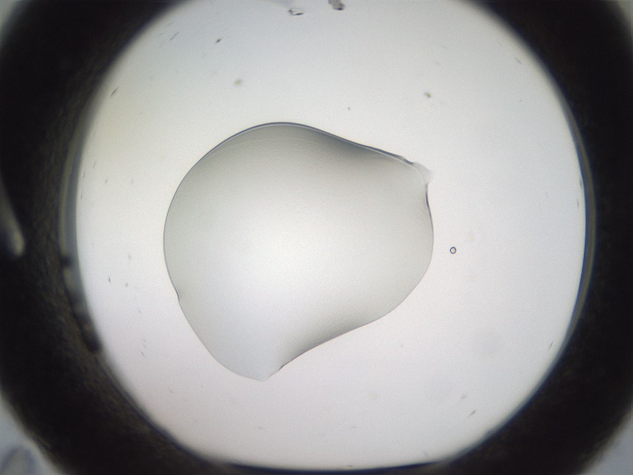 folderID505_plateID3505_batchID20840_wellNum11_profileID1_d1_r311639_ef.jpg