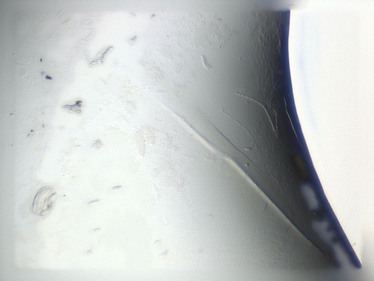 04ip_C5_ImagerDefaults_8.jpg