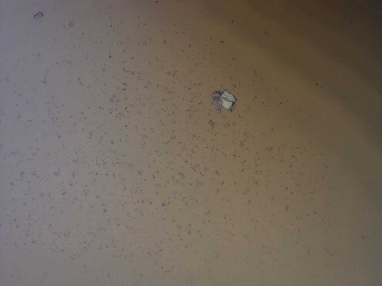 04j4_A1_ImagerDefaults_6.jpg