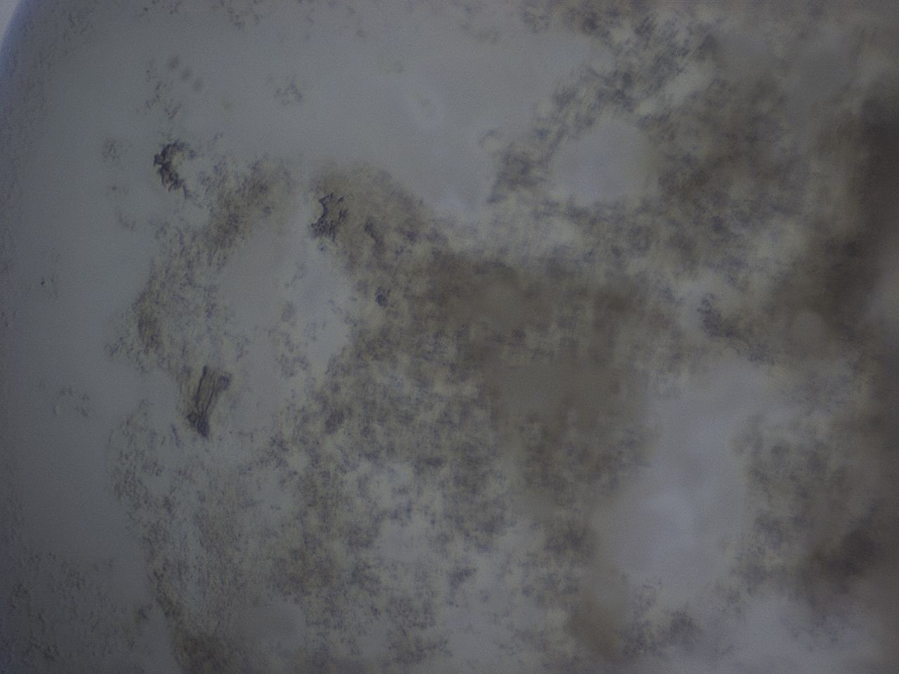04j4_C12_ImagerDefaults_6.jpg
