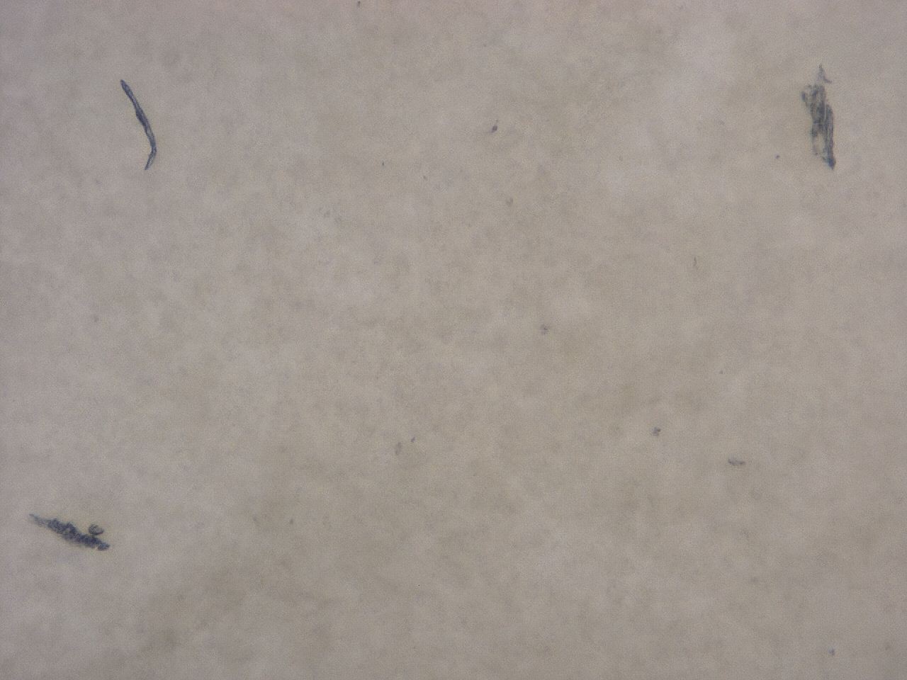 04j4_C3_ImagerDefaults_6.jpg