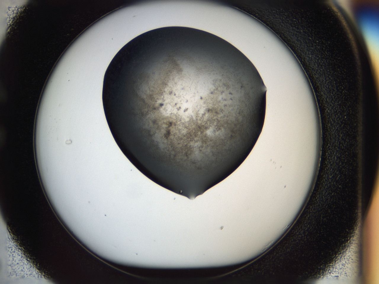 04j5_C5_ImagerDefaults_6.jpg