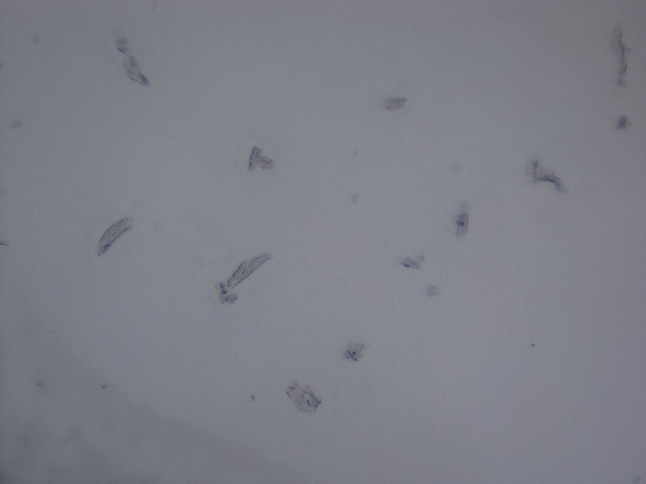 04ja_A12_ImagerDefaults_3.jpg