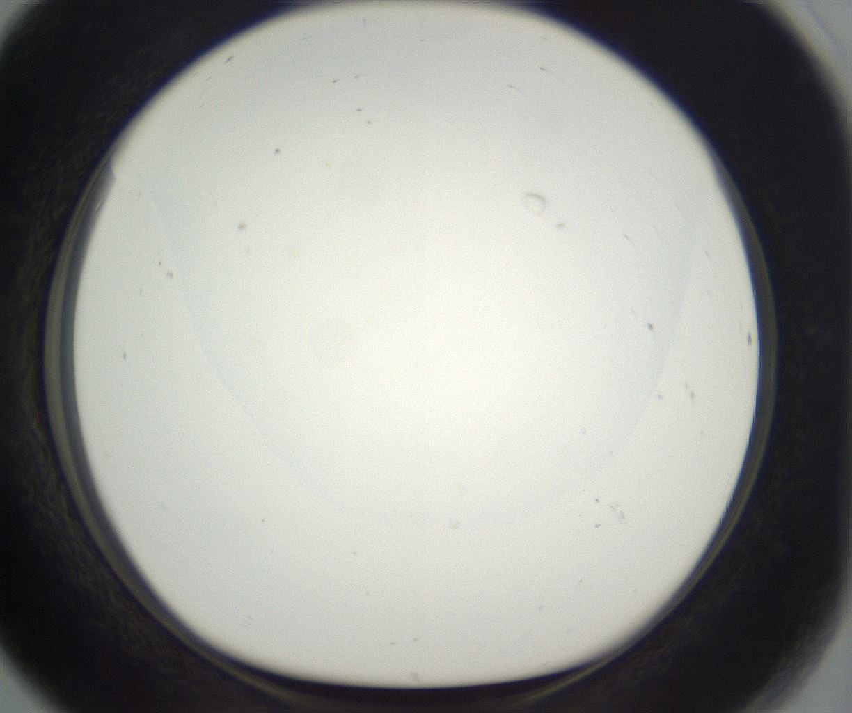 folderID50_plateID3050_batchID17528_wellNum80_profileID1_d1_r258983_ef.jpg