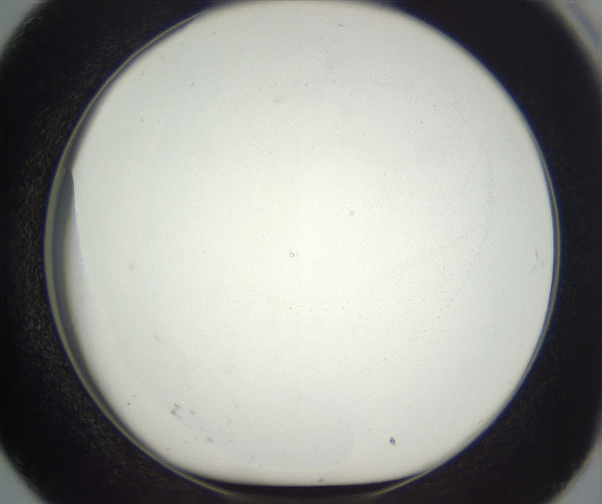 folderID50_plateID3050_batchID19174_wellNum50_profileID1_d1_r258923_ef.jpg