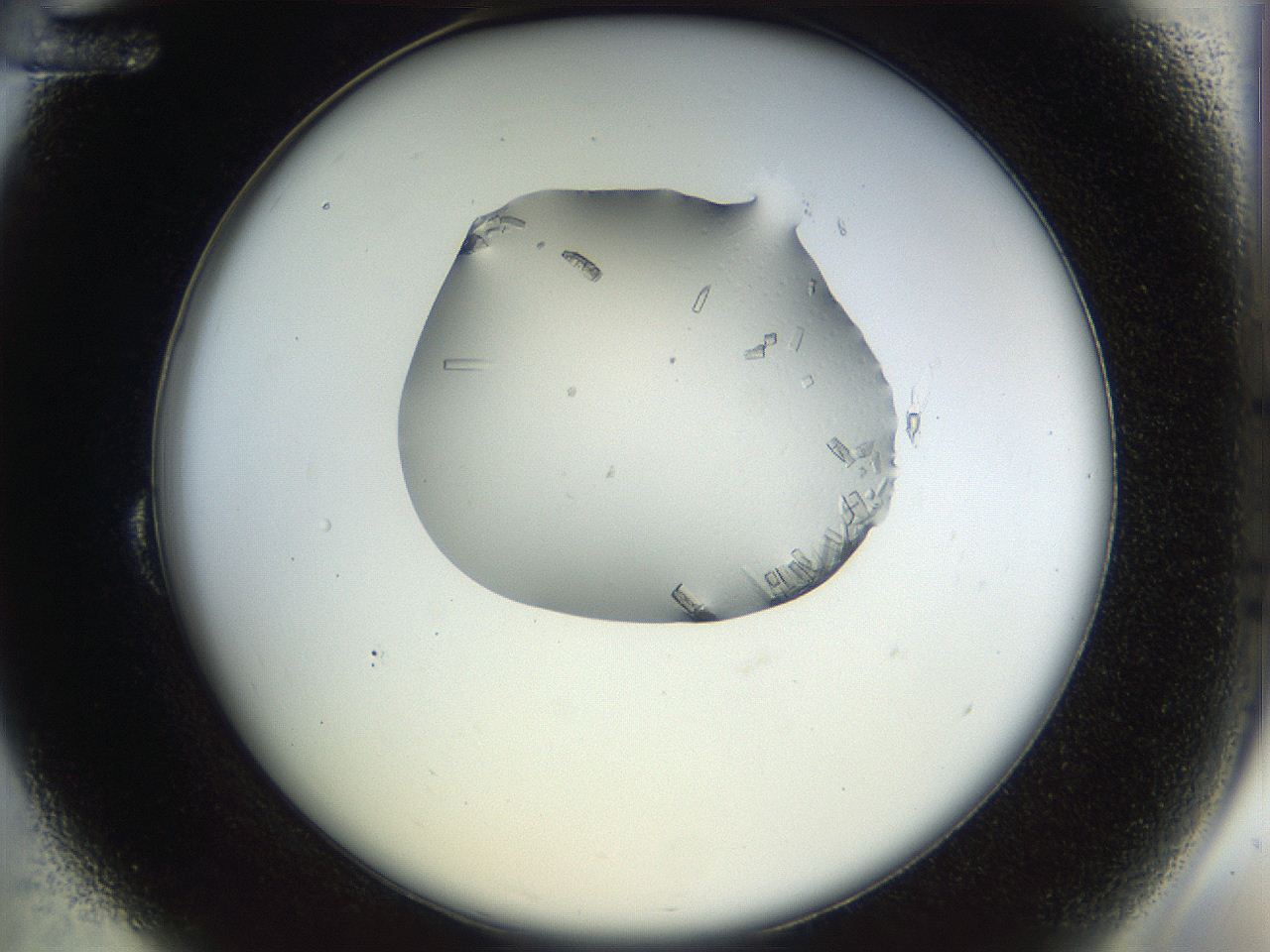 04js_B12_ImagerDefaults_9.jpg