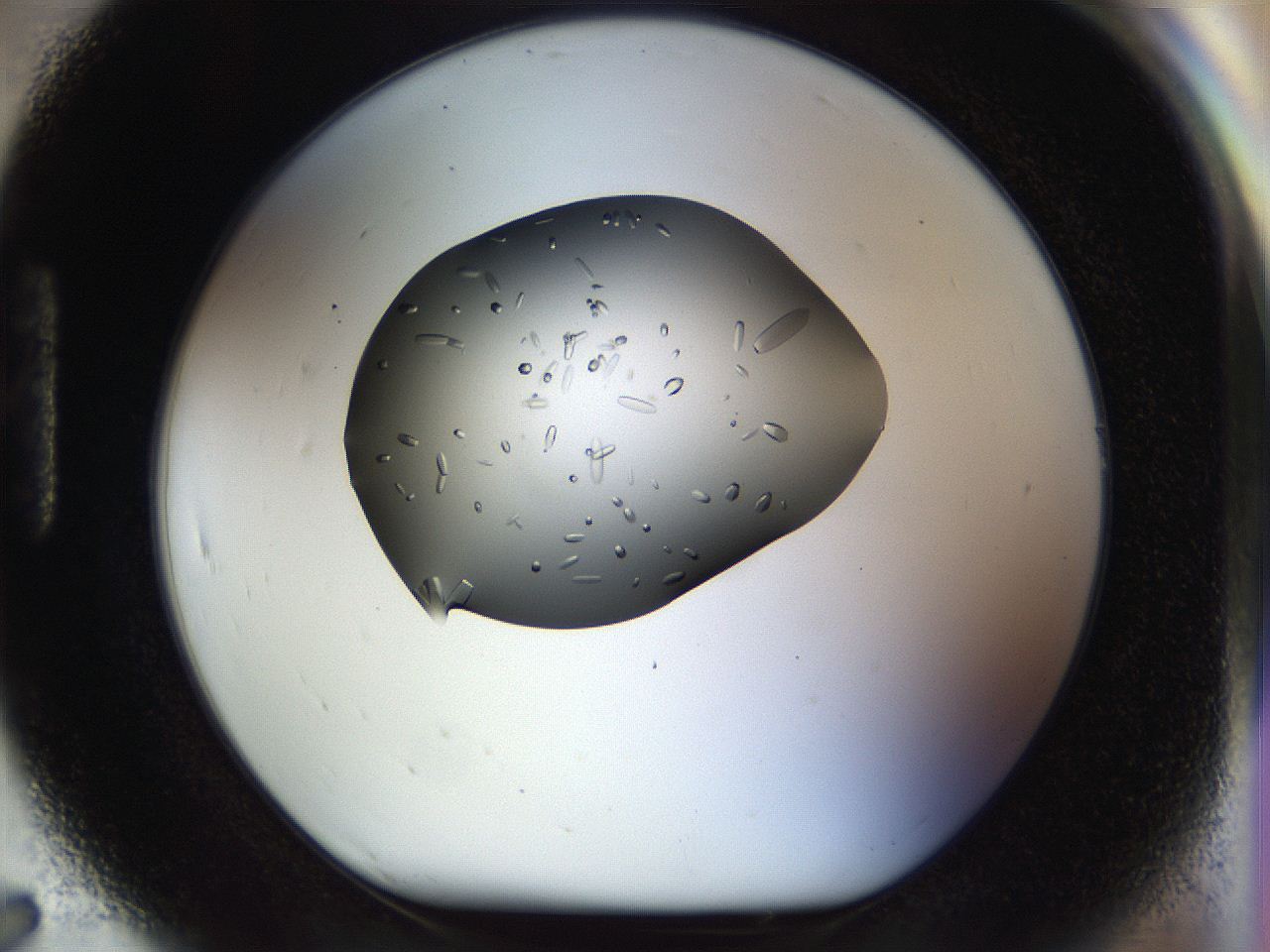 04js_H7_ImagerDefaults_9.jpg