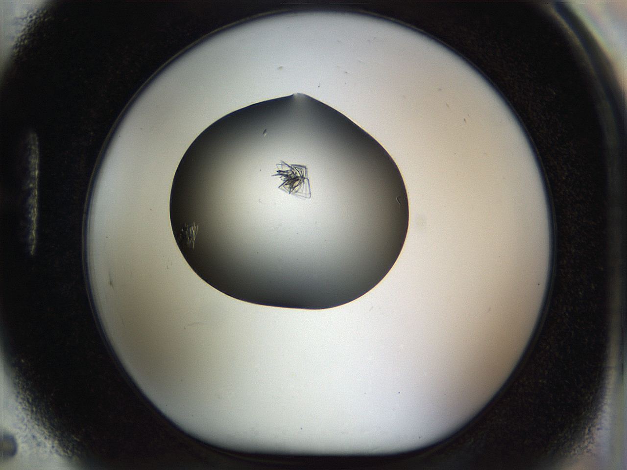 04jt_H5_ImagerDefaults_9.jpg