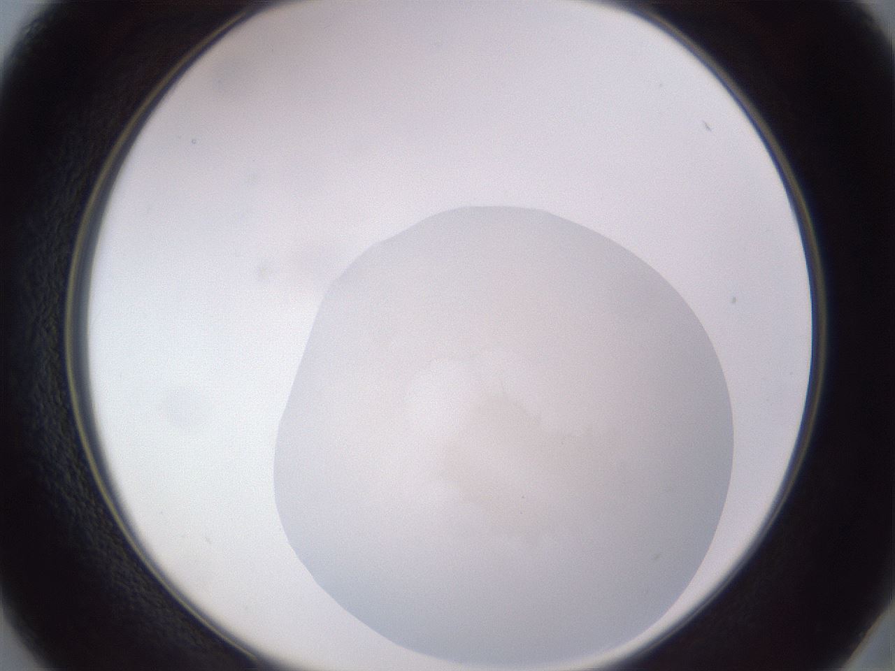 folderID513_plateID3513_batchID20631_wellNum37_profileID1_d2_r312462_ef.jpg