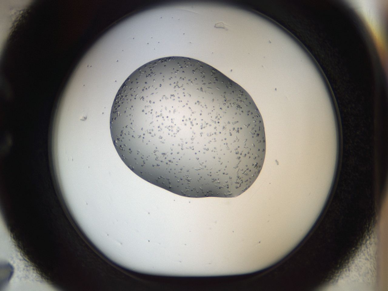 04jw_C7_ImagerDefaults_9.jpg