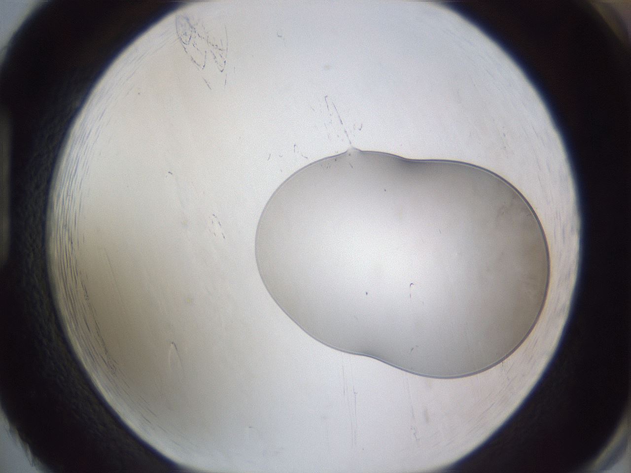folderID513_plateID3513_batchID20843_wellNum86_profileID1_d1_r312559_ef.jpg