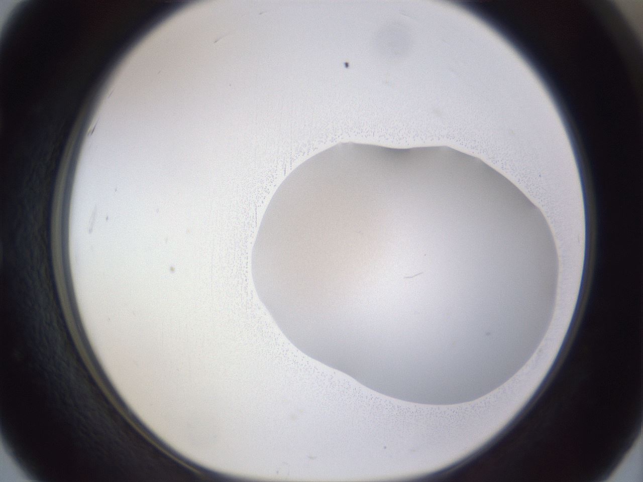 folderID513_plateID3513_batchID22108_wellNum51_profileID1_d1_r312489_ef.jpg