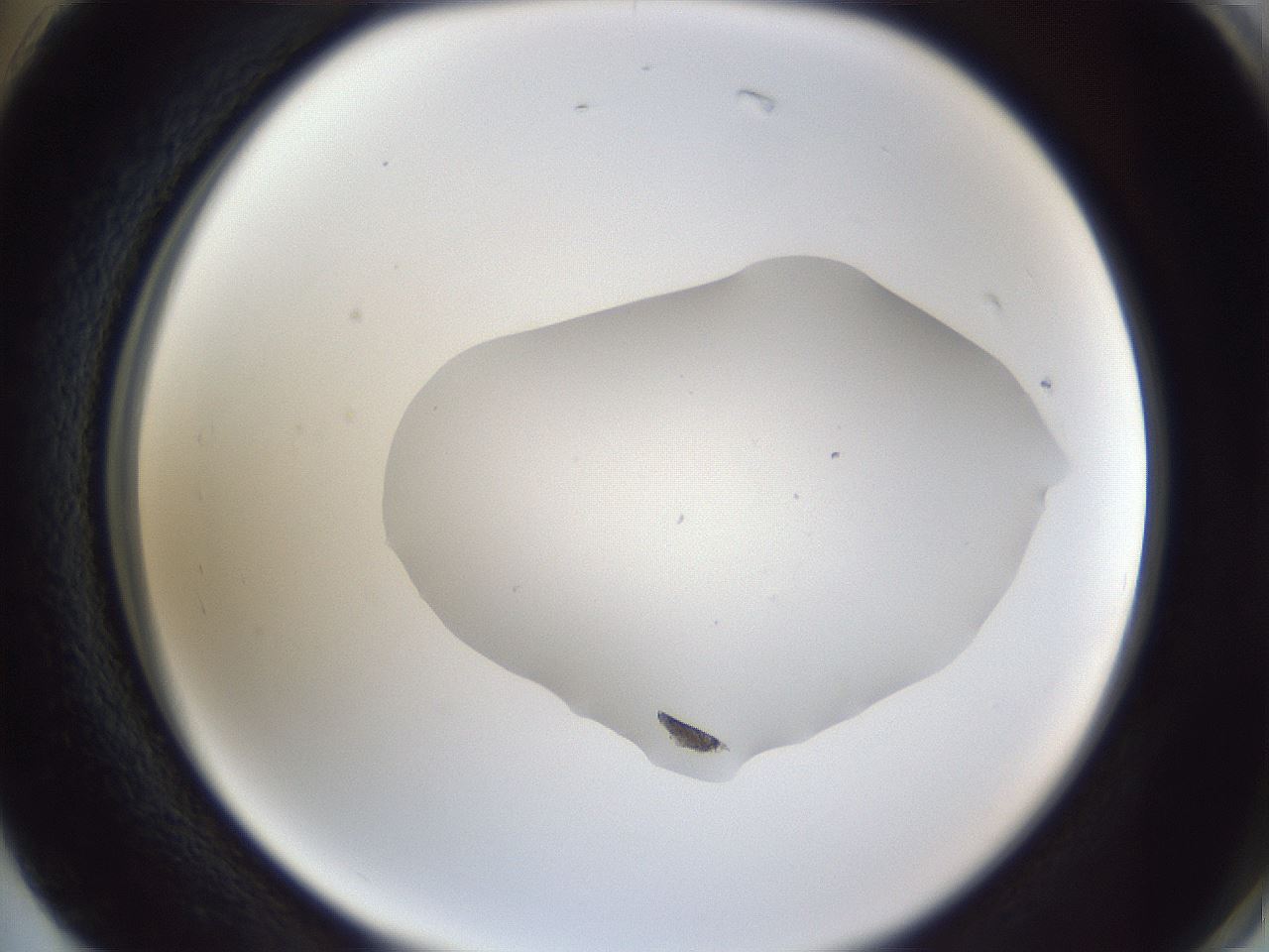 folderID516_plateID3516_batchID20850_wellNum74_profileID1_d2_r314073_ef.jpg