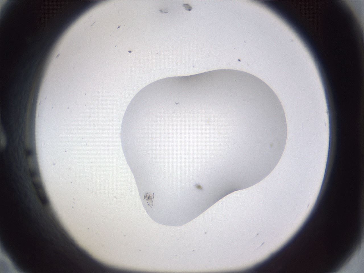 folderID517_plateID3517_batchID20852_wellNum11_profileID1_d1_r314522_ef.jpg