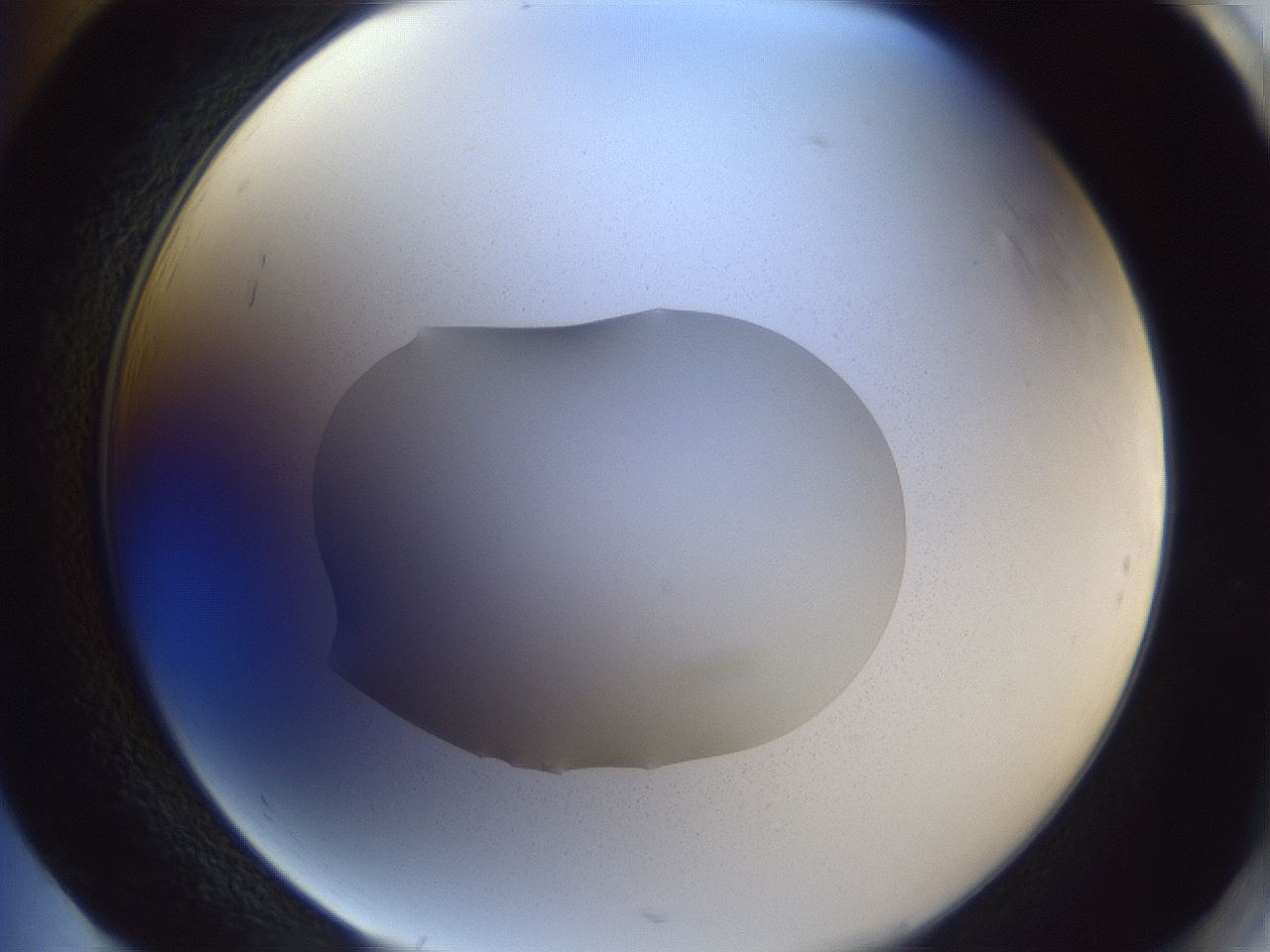 folderID517_plateID3517_batchID21375_wellNum85_profileID1_d2_r314671_ef.jpg