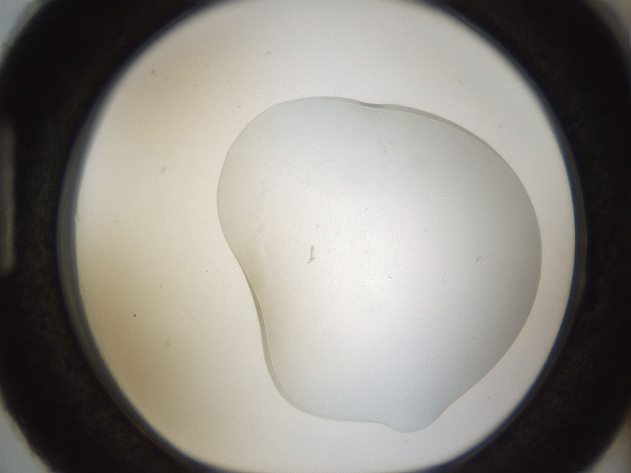 folderID53_plateID1053_batchID2097_wellNum87_profileID1_d1_r47399_ef.jpg