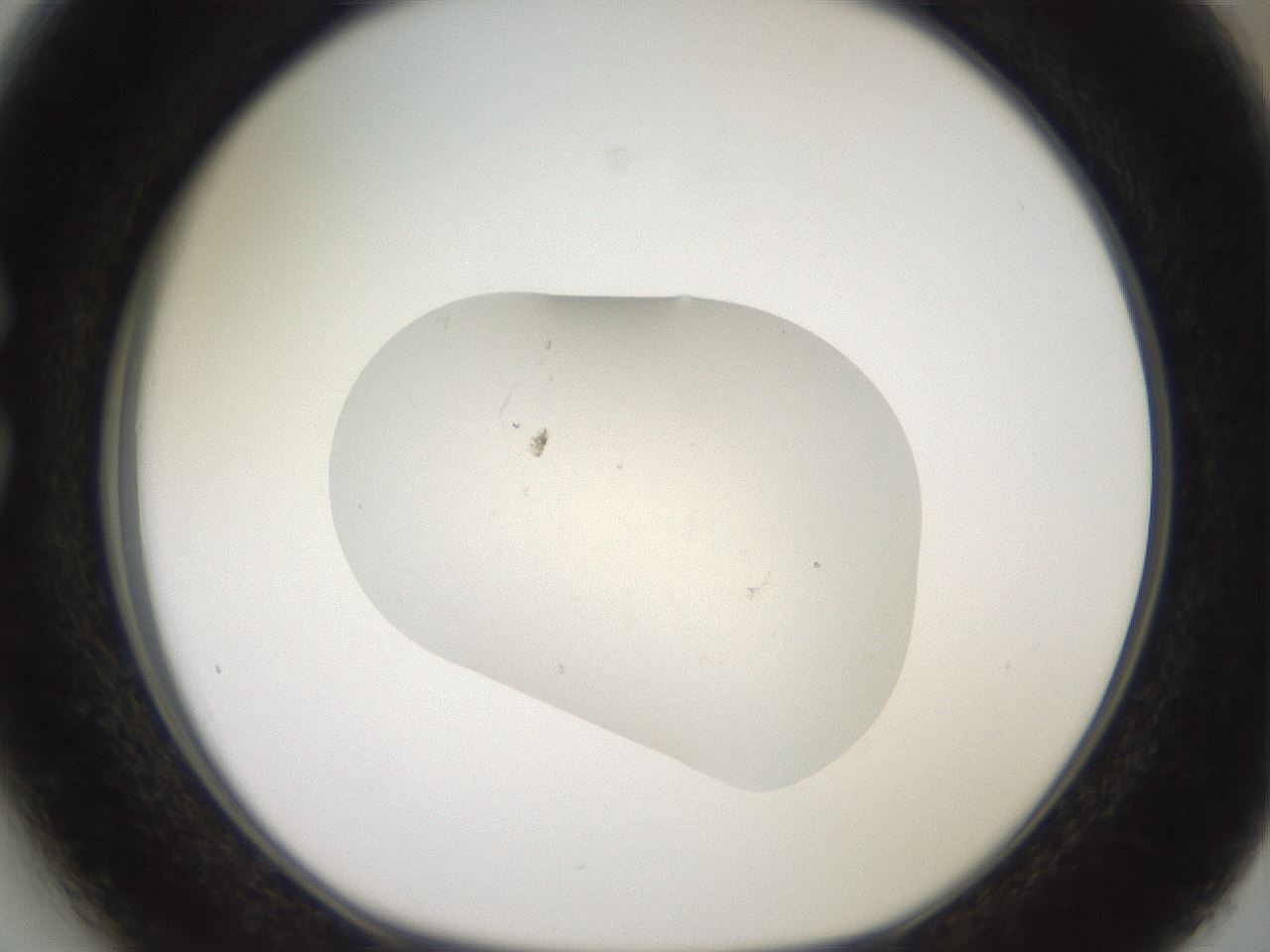 folderID546_plateID3546_batchID21121_wellNum27_profileID1_d1_r317225_ef.jpg