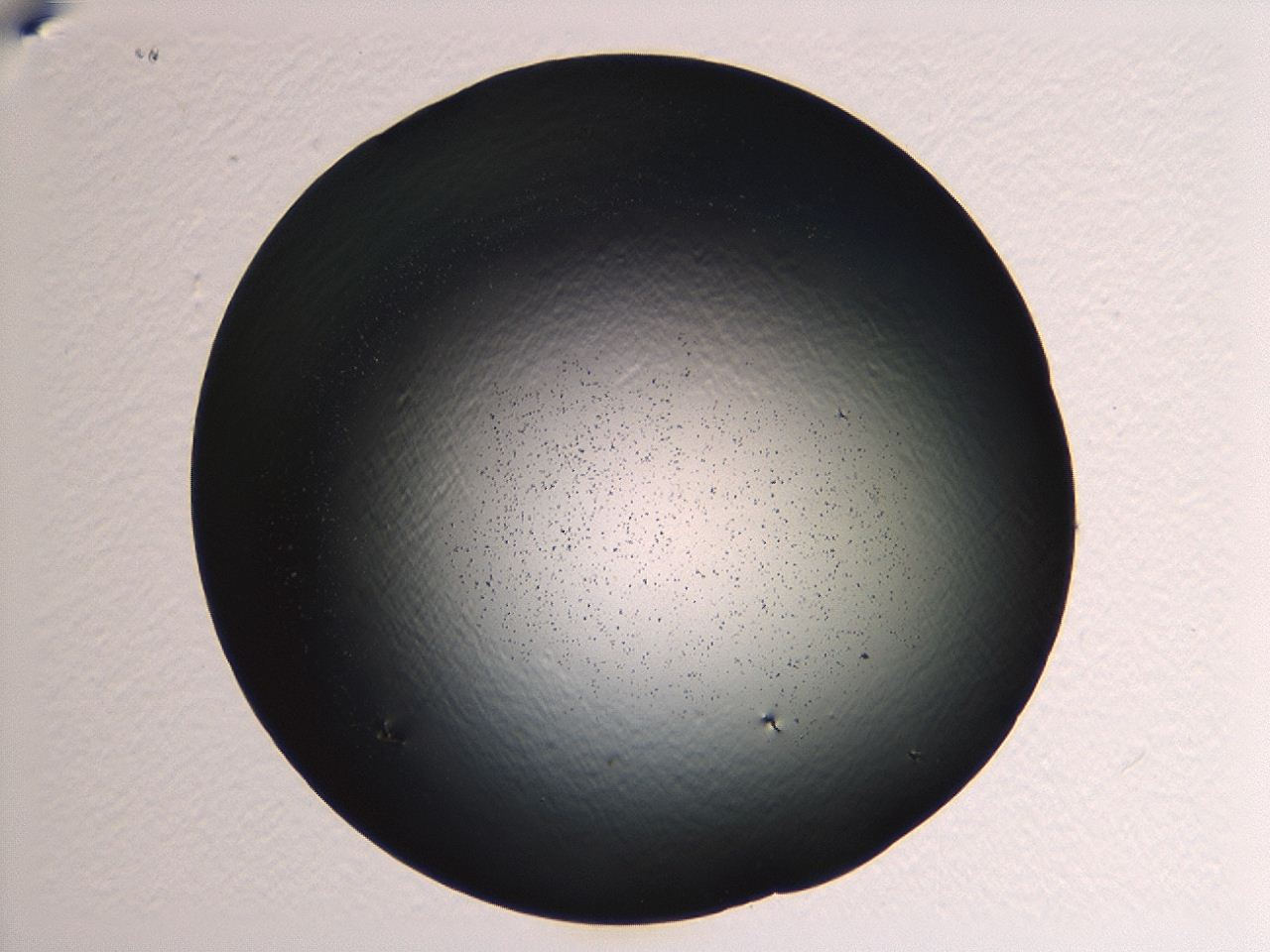 04ki_F11_ImagerDefaults_0.jpg