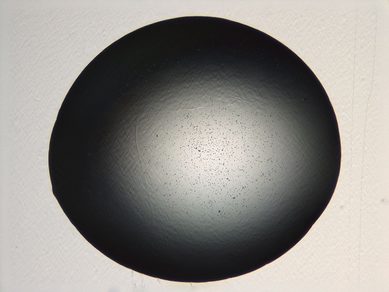 04ki_G8_ImagerDefaults_3.jpg