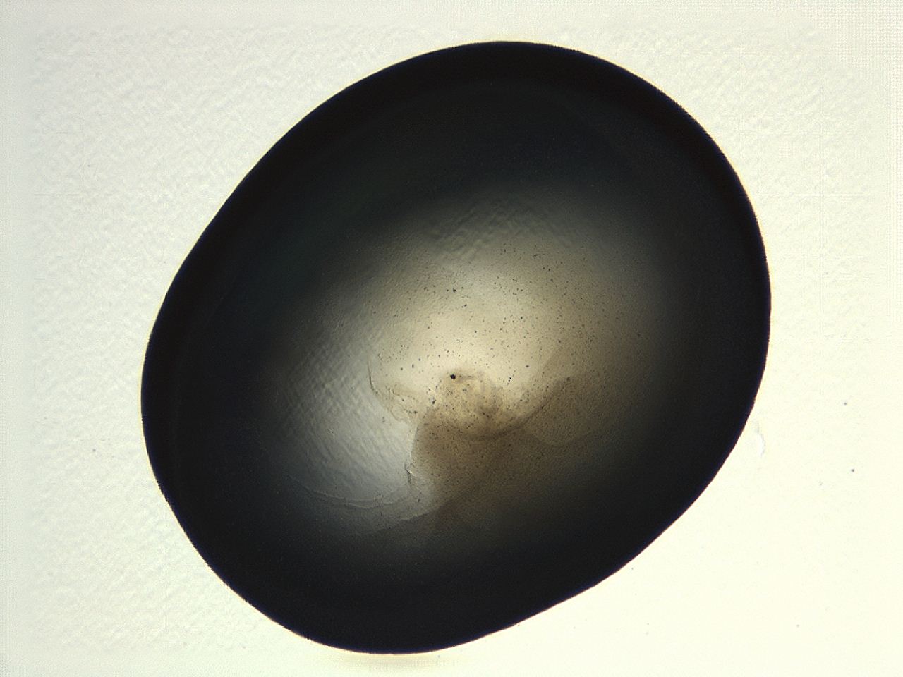 04ki_G10_ImagerDefaults_3.jpg
