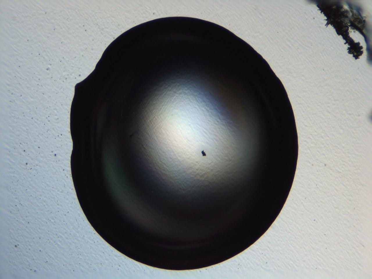 04ki_H1_ImagerDefaults_0.jpg