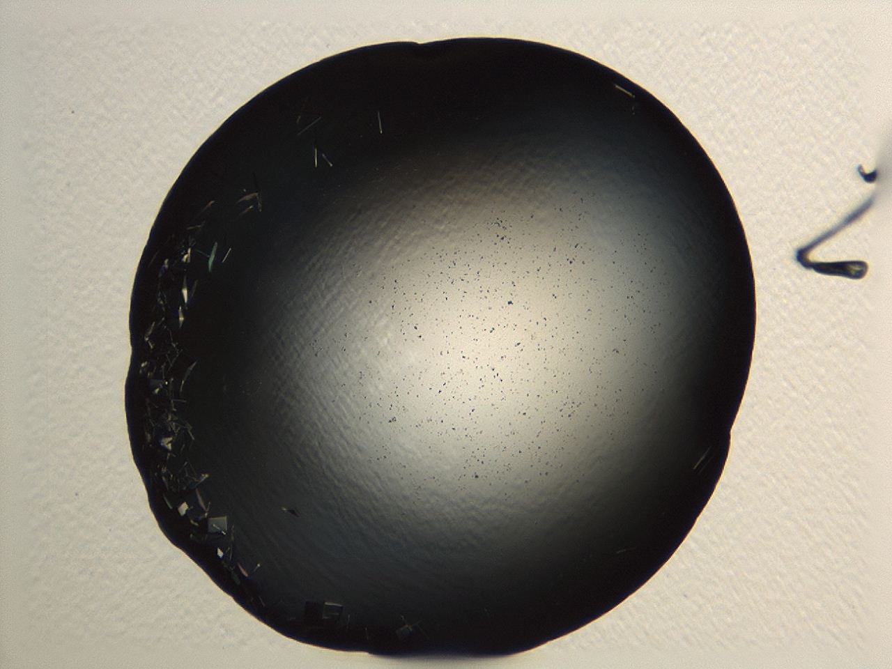 04kj_A6_ImagerDefaults_9.jpg