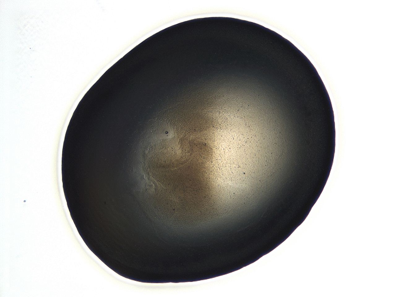 04kj_A12_ImagerDefaults_3.jpg
