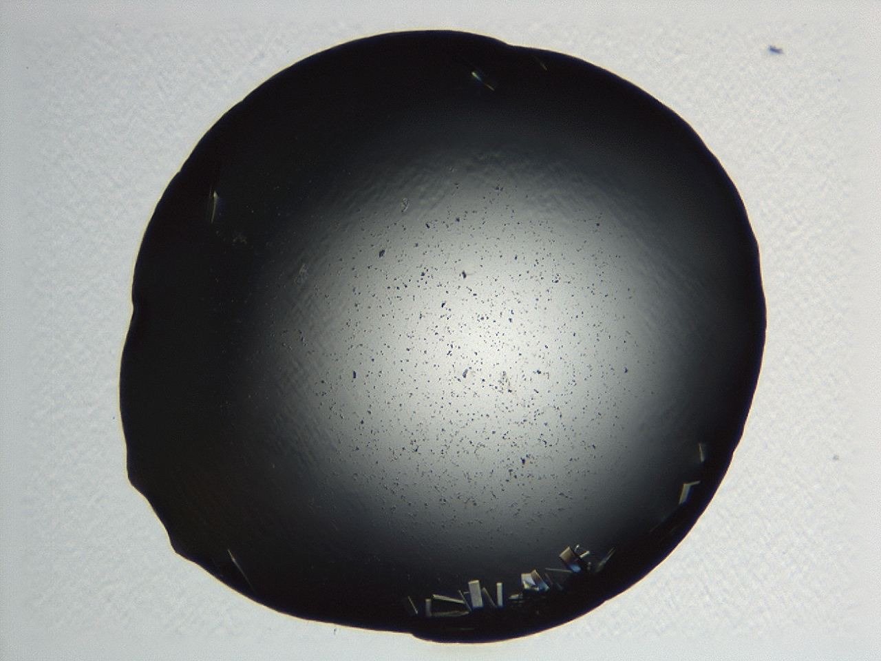 04kj_B9_ImagerDefaults_9.jpg