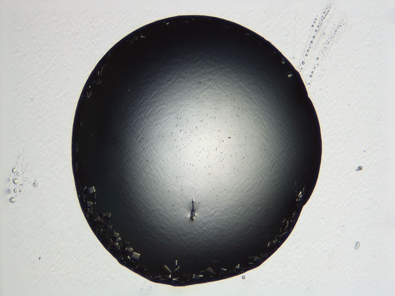 04kj_D4_ImagerDefaults_9.jpg