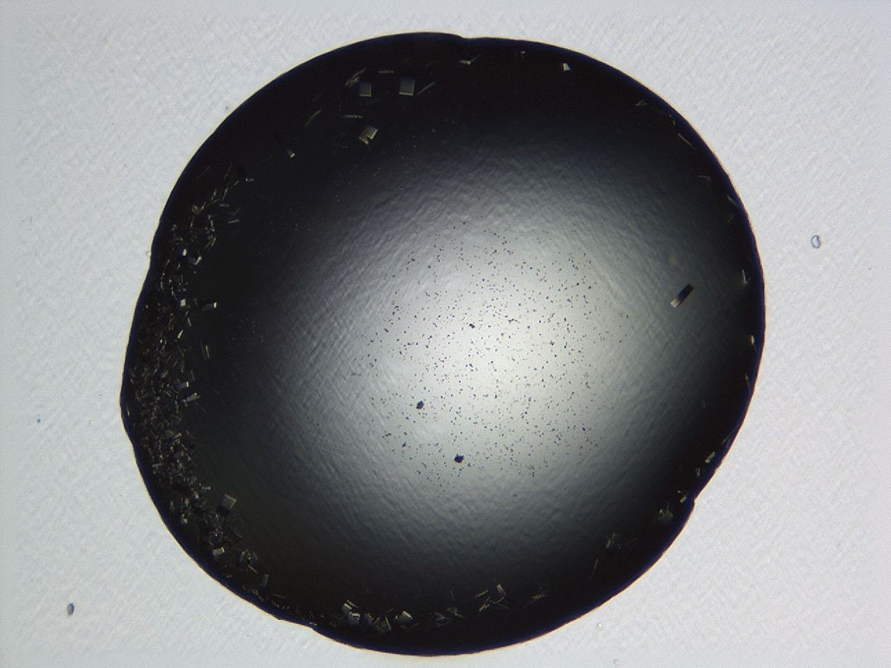 04kj_D8_ImagerDefaults_9.jpg